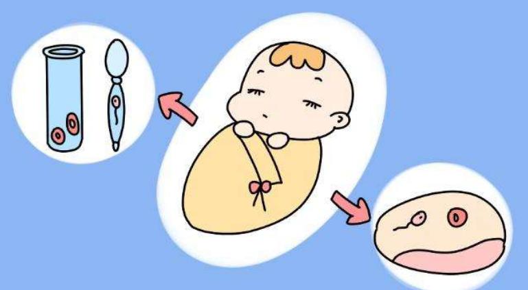 深圳做试管婴儿大概要多少钱？